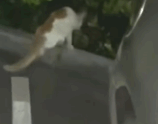 T3010008 With one in part2