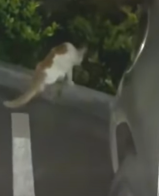 T3010008 With one in part2