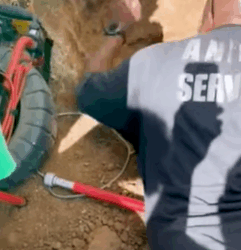 T2210013 Stray Dog Finally Gets Freed From Drainpipe part2
