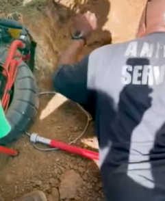 T2210013 Stray Dog Finally Gets Freed From Drainpipe part2