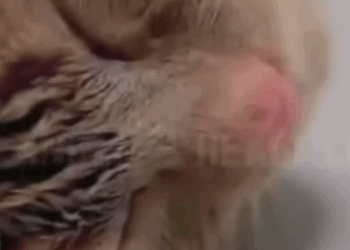 T3010026 Covered in part2