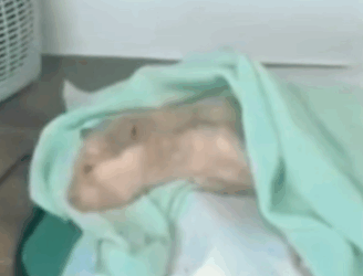 T3010024 The poor cat was abandoned locked in rusty cage for months hungry and exhausted the cat was exhausted tears streaming down his face when he was rescued part2