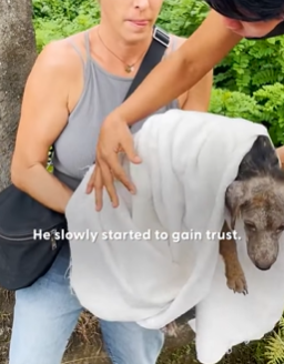 T2210006 Moving Rock On The Road Turned Out To Be Puppy part2