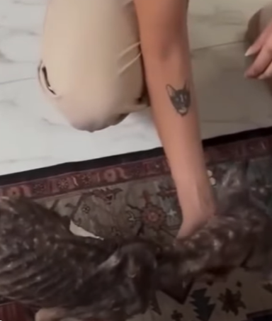 T2410003 You Won Believe How This Frail Dog Looks After Just Days of Love part2