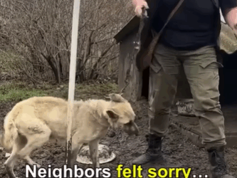 T2210003 They re finally safe and happy now part2