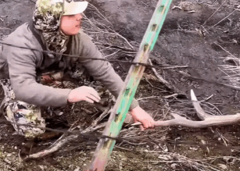 T3010035 Antler Hunters Find Beautiful Elk Stuck In Wire dog dogsoftiktok part2