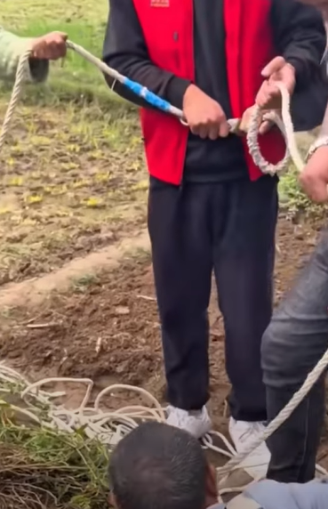 T1510015 dog dogsoftiktok poordog rescuedog part2