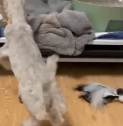 T1011020 His tough exterior is just to protect himself part2