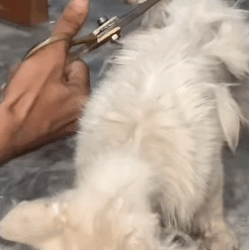 T1011003 To be love is to be changed He was undergoing treatment part2