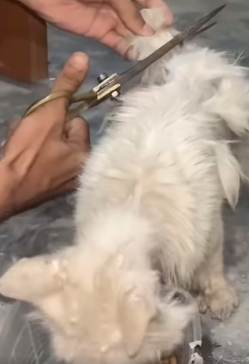 T1011003 To be love is to be changed He was undergoing treatment part2