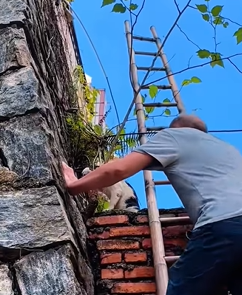 T1011028 cat was caught in trap part2