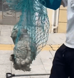 T1711030 Phillies land All star close Jhoan Duran ahead of MLB trade deadline part2