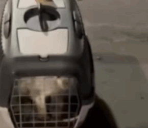 T1411027 You won believe how gorgeous she looks now Meryem told us part2