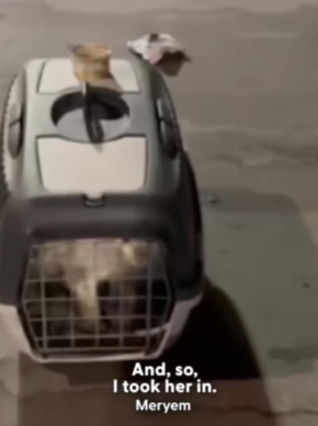 T1411027 You won believe how gorgeous she looks now Meryem told us part2