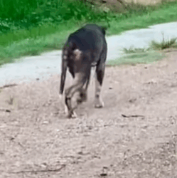 T1411025 He was so confused first time someone showed him love just wait part2