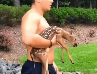 T0211027 rescue the little deer from under the lake and then cuteanimals deer part2