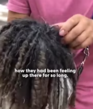 T2511002 senior dog glow up will melt your heart Zoë shared part2