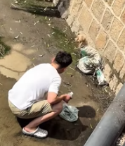 T2511007 #dog #dogsoftiktok #rescuedog_part2