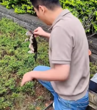 T2511013 #cat #catsoftiktok #poorcat #rescuecat part2