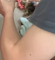 T2511020 #cat #catsoftiktok #poorcat #rescuecat part2