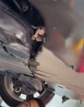 T2511021 #cat #catsoftiktok #poorcat #rescuecat (7)_part2