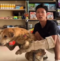 T2511023 #dog #dogsoftiktok #poordog #rescuedog part2