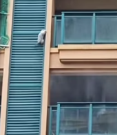 T2511030 #cat #catsoftiktok #poorcat part2