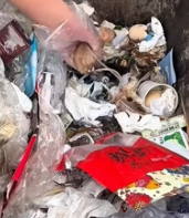 T2511033 #cat #catsoftiktok #rescuecat #poorcat_part2