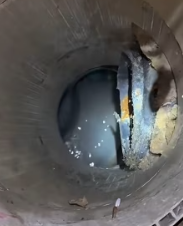 T2511035 #cat #catsoftiktok #rescuecat_part2