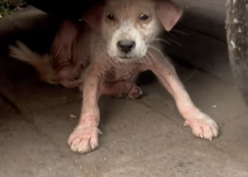 T3012015 She had no idea how much her life was about to change Jen captured