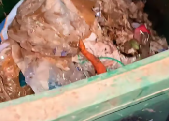 T3012029 rescue poor baby cat happy ending #rescueanimals #kitten