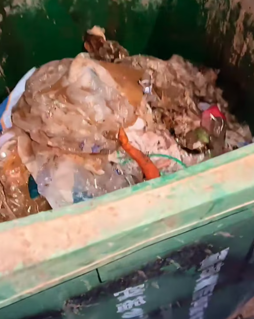 T3012029 rescue poor baby cat happy ending #rescueanimals #kitten