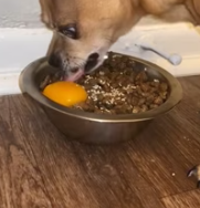 T0112019 Man saved dog #rescue #rescueanimals #animals #dog #rescuedog #fyp_part2