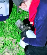 T0112017 Man saved raccoon trash then what happened next #animal_part2