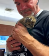 T0112012 We found baby bobcat raise it #rescue #rescueanimals #bobcat #b…_part2