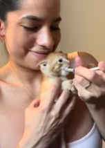 T0112039 Man rescued kitten stuck in ditch brought it home #animal #anim…_part2