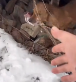 T0412018 #fyp #helpanimals Rescue Abandoned Dog in Degrees Celsius Cold Weather