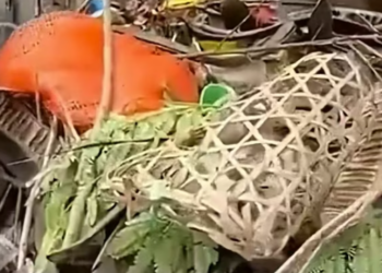 T1012022  Cat locked in cage left on trash can was luckily rescued #animal