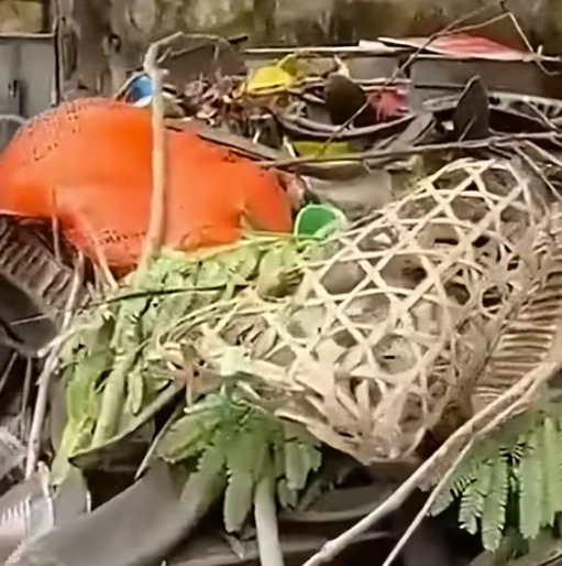 T1012022  Cat locked in cage left on trash can was luckily rescued #animal