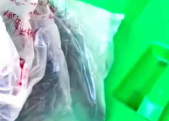 T1312002 Rescue puppy in trash #rescue #animals #animalsoftiktok #rescue