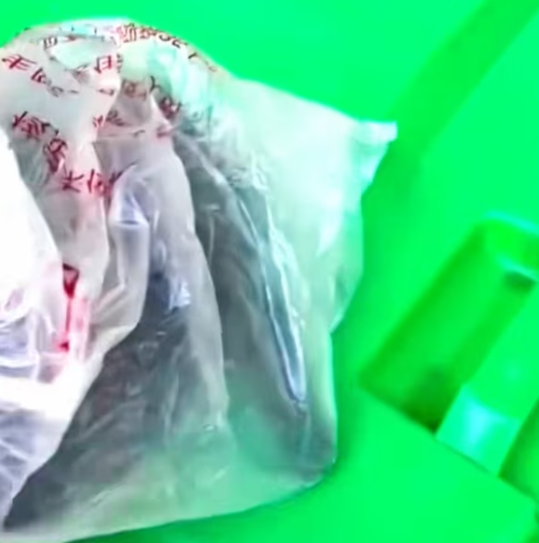 T1312002 Rescue puppy in trash #rescue #animals #animalsoftiktok #rescue