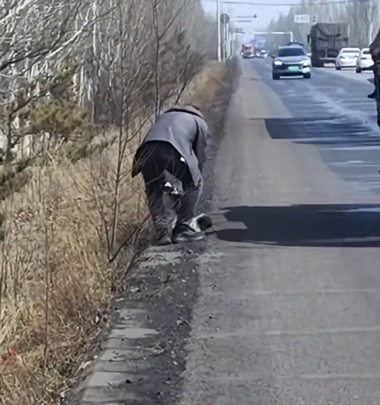 T1312003 Rescue puppy on road #rescue #animals #animalsoftiktok #fyp