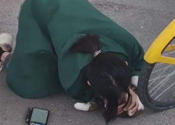 T1312035 cat fell great height, saved her then… #cat