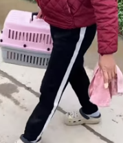 T0112026_girl rescue kittens on road _part2