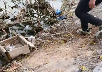 T2112008 Rescued kittens abandoned on riverbank #animalsoftiktok #rescue