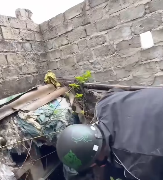 T2412001 #animal #help #save #love #animallove #foryou #fyp #pet #kitty