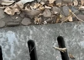 T2412014 Every second in the water felt like forever.