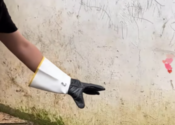 T2412022 man wants to save puppy infected skin disease