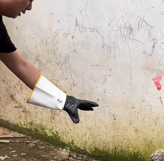 T2412022 man wants to save puppy infected skin disease