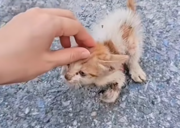 T0201004 He didn’t understand why the pain wouldn’t stop.